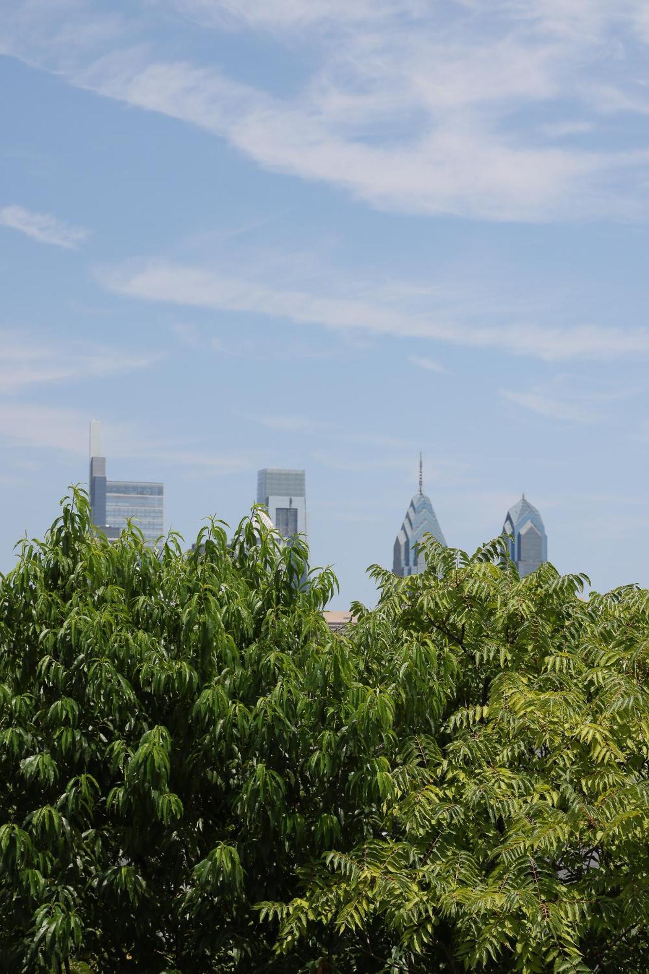 Peaceful Zen Getaway In The City Philadelphia Exterior photo